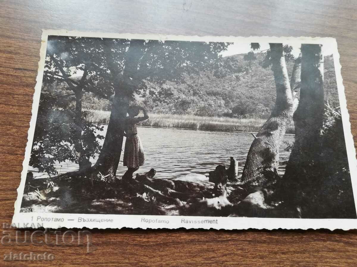 Postal card Kingdom of Bulgaria - Ropotamo river with price 20.00 BGN | € 10.23 Postal card Kingdom of Bulgaria - Ropotamo river with price 20.00 BGN | € 10.23