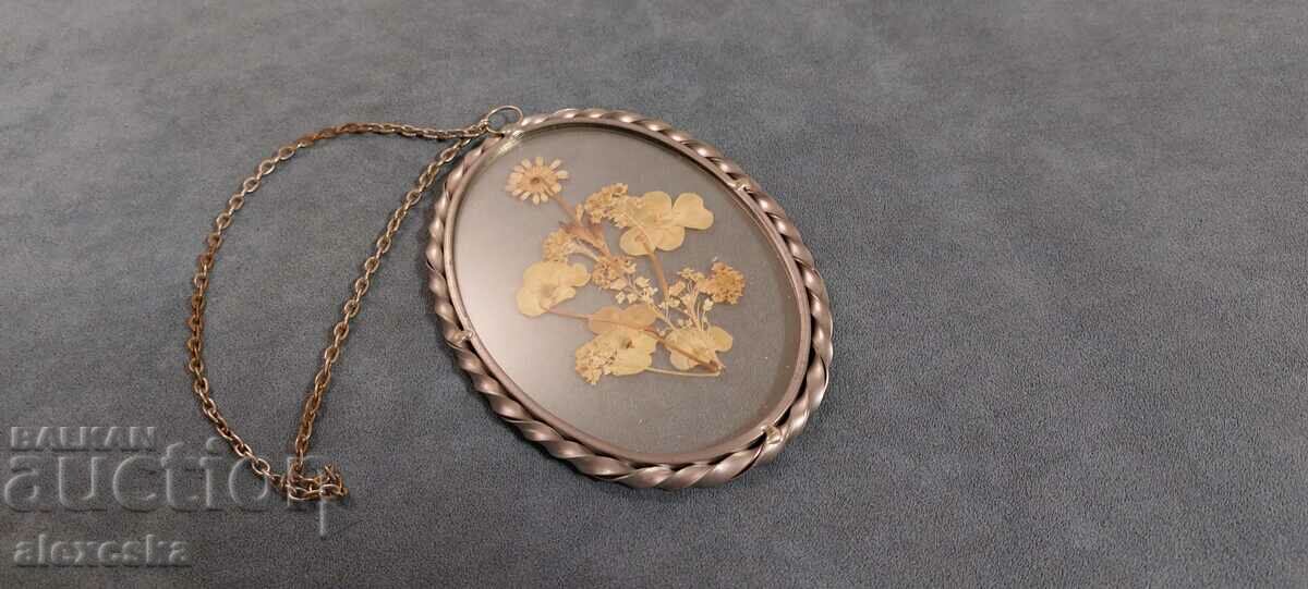 Old panel-Herbarium with price 17.00 BGN | € 8.69 Old panel-Herbarium with price 17.00 BGN | € 8.69