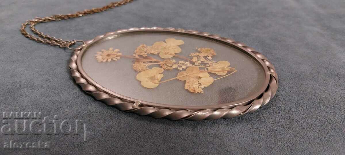 Auction Old panel-Herbarium Auction Old panel-Herbarium