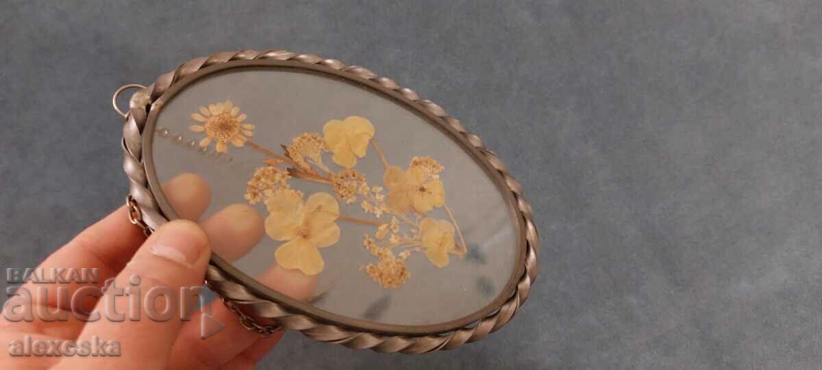 Delivery of Old panel-Herbarium Delivery of Old panel-Herbarium