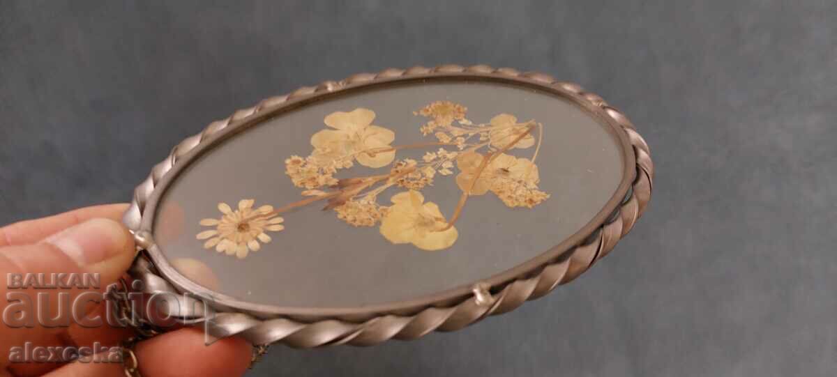 Old panel-Herbarium - 5 Old panel-Herbarium - 5