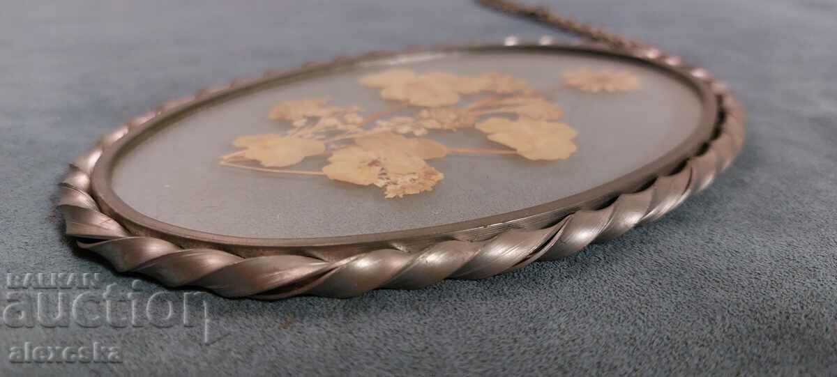 Old panel-Herbarium - 6 Old panel-Herbarium - 6