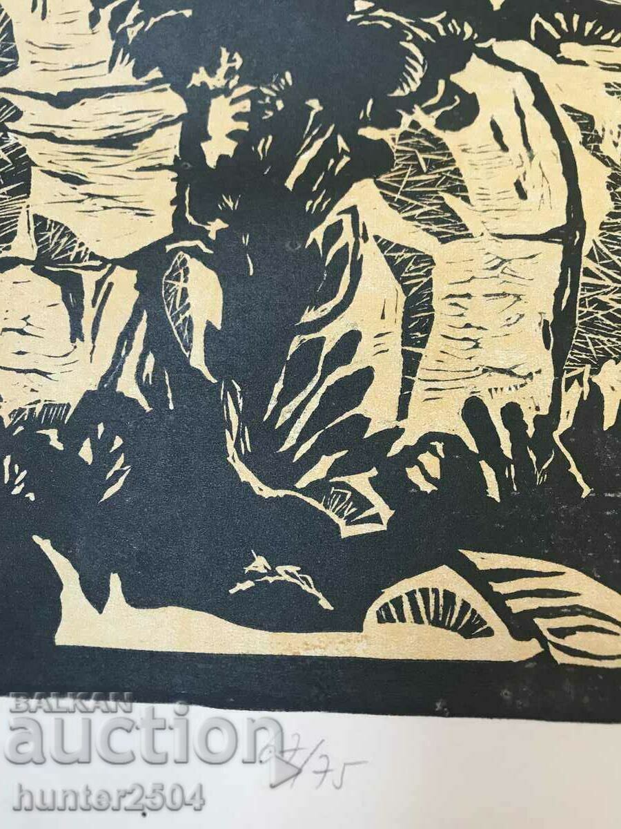 Auction Picture-B. Tarnovo, 67/75 cm Auction Picture-B. Tarnovo, 67/75 cm