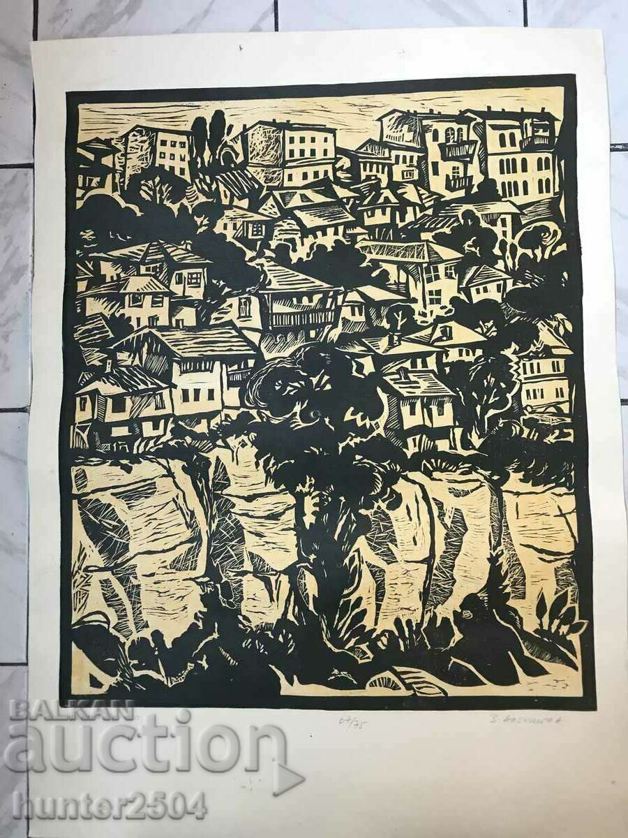 Poza-B. Tarnovo, 67/75 cm