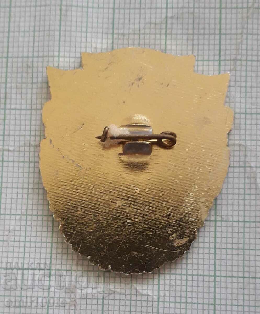 Delivery of Badge - Champion NTP Territory of Youth Daring Delivery of Badge - Champion NTP Territory of Youth Daring