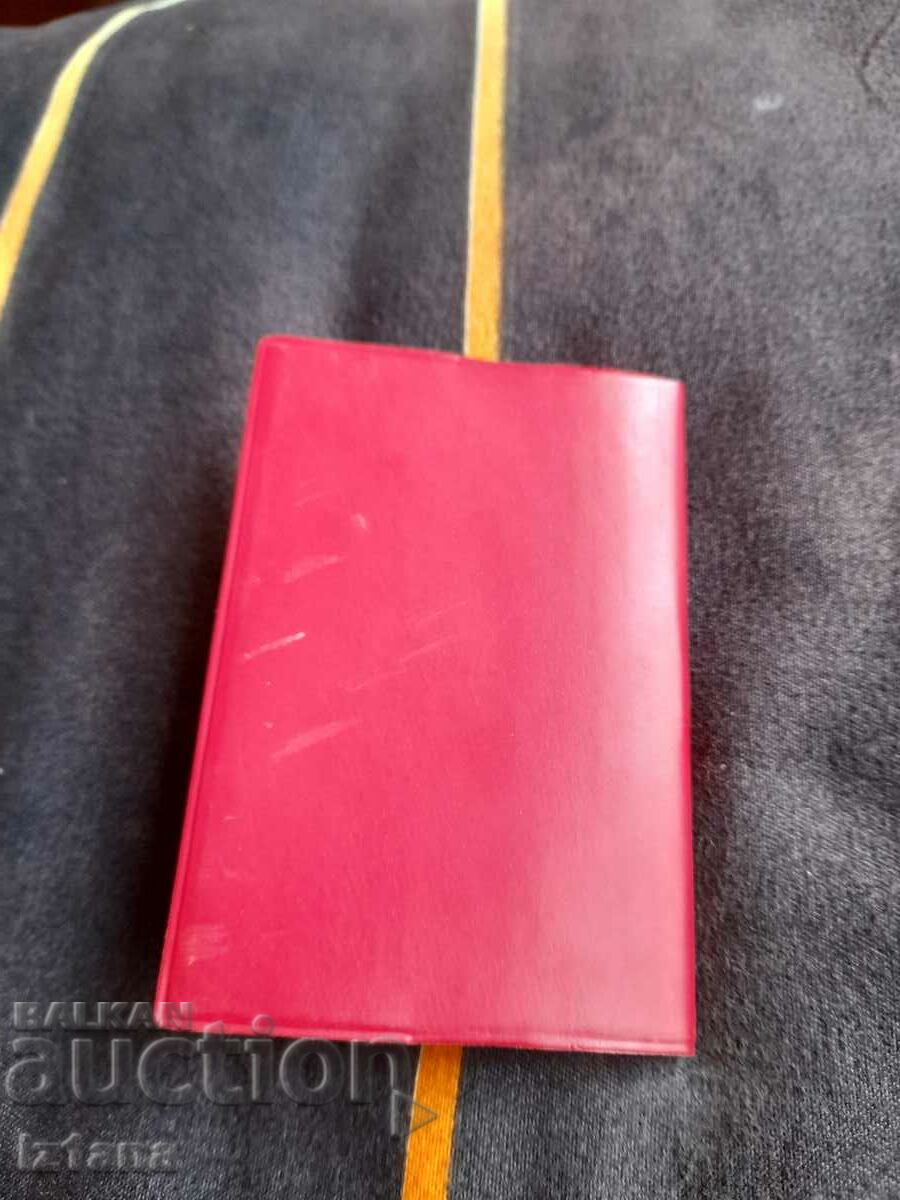 Old monument Chrysanthemums - 6 Old monument Chrysanthemums - 6