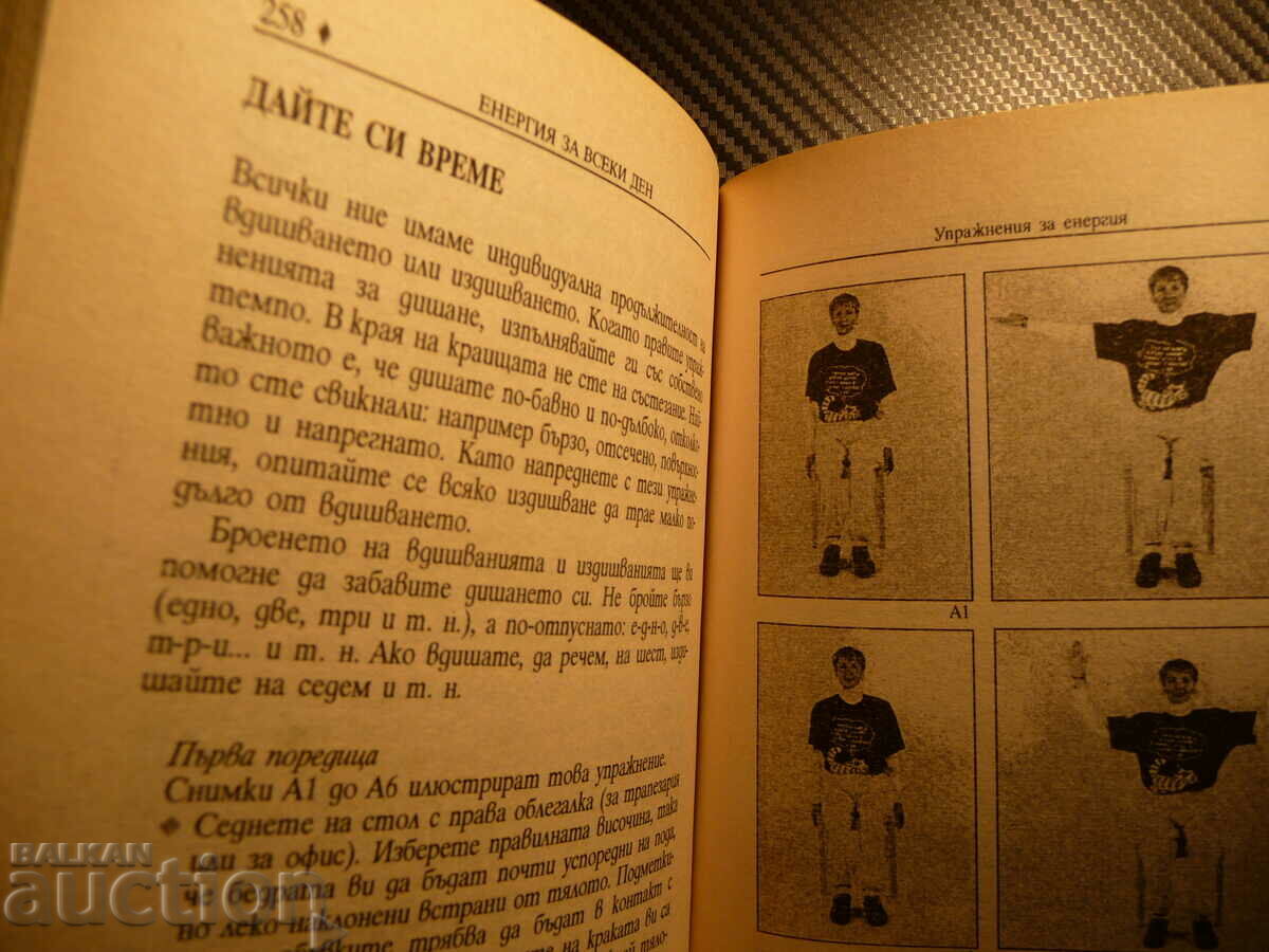 Auction Energy for Every Day - Katherine Marsden Coping with Fatigue zdr Auction Energy for Every Day - Katherine Marsden Coping with Fatigue zdr