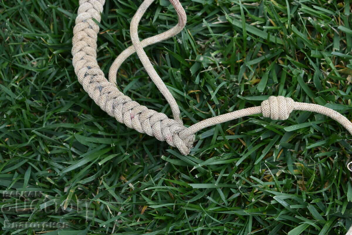 Royal Achilbant - 5 Royal Achilbant - 5