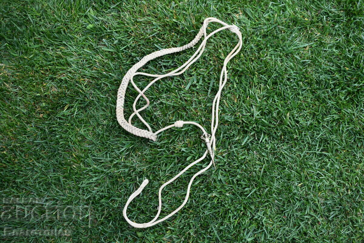 Royal Achilbant - 6 Royal Achilbant - 6