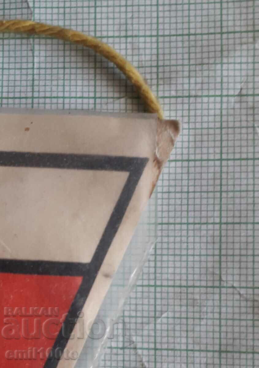 Delivery of Badge and flag - Sports Club Elektroputere Craiova Delivery of Badge and flag - Sports Club Elektroputere Craiova