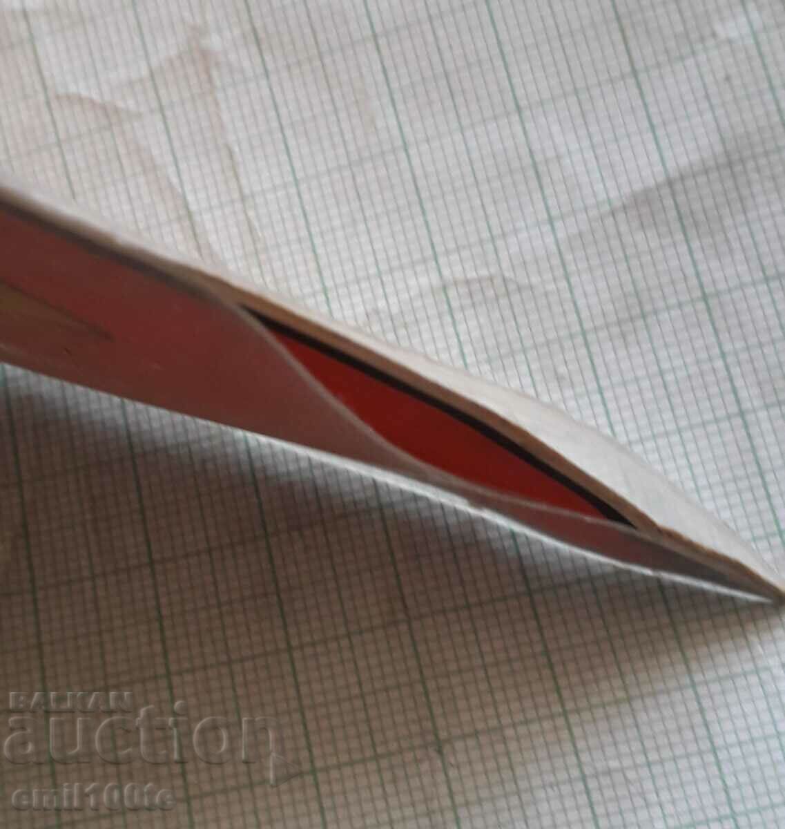 Badge and flag - Sports Club Elektroputere Craiova - 5 Badge and flag - Sports Club Elektroputere Craiova - 5