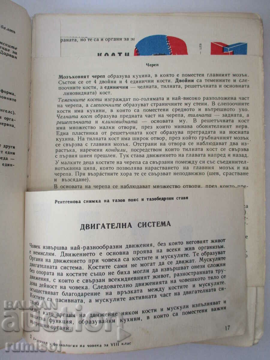 Аукцион Анатомия и физиология на човека - Георги К. Налбантов Аукцион Анатомия и физиология на човека - Георги К. Налбантов