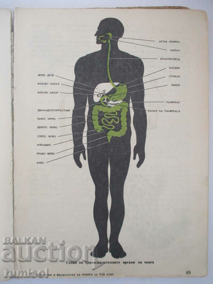 Human anatomy and physiology - Georgi K. Nalbantov - 5 Human anatomy and physiology - Georgi K. Nalbantov - 5