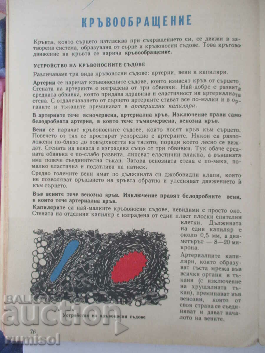 Анатомия и физиология на човека - Георги К. Налбантов - 6 Анатомия и физиология на човека - Георги К. Налбантов - 6