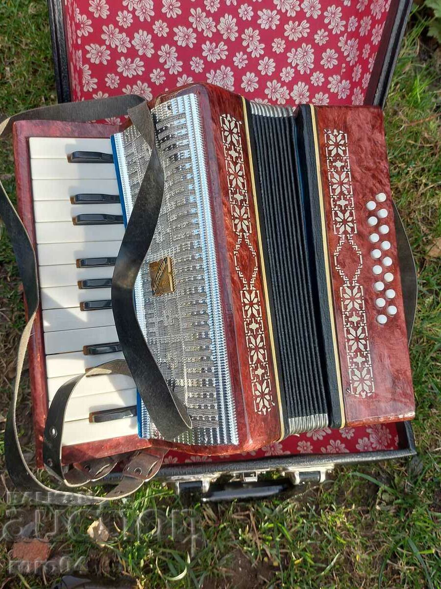 Livrarea BEBE ACORDION - STARE GENIALĂ