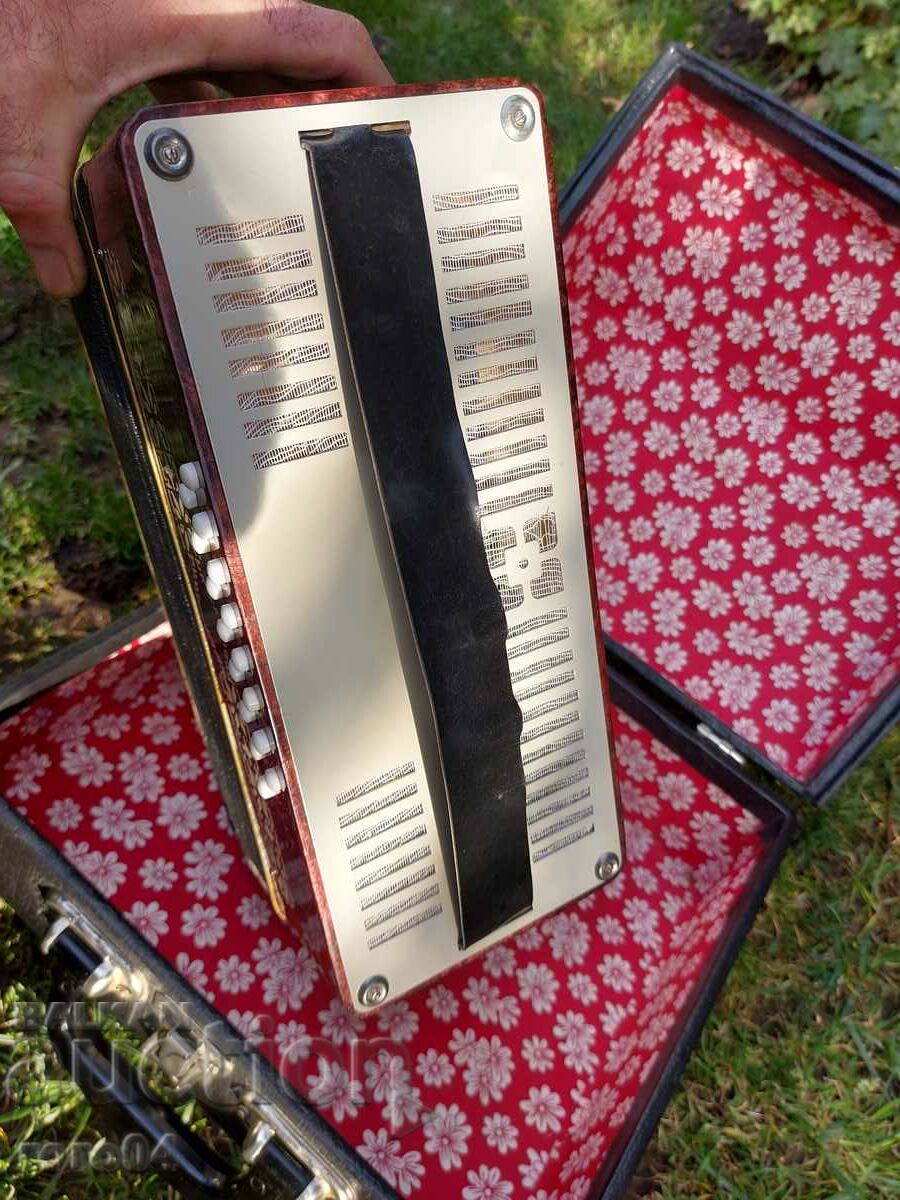 ΜΩΡΙΚΟ ΑΚΟΡΝΤΕΟΝ - ΛΑΜΠΡΗ ΚΑΤΑΣΤΑΣΗ - 5 ΜΩΡΙΚΟ ΑΚΟΡΝΤΕΟΝ - ΛΑΜΠΡΗ ΚΑΤΑΣΤΑΣΗ - 5