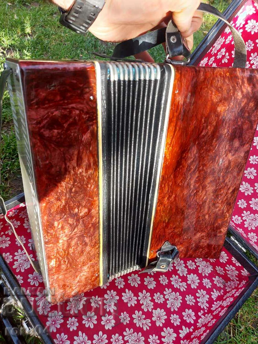 ΜΩΡΙΚΟ ΑΚΟΡΝΤΕΟΝ - ΛΑΜΠΡΗ ΚΑΤΑΣΤΑΣΗ - 6 ΜΩΡΙΚΟ ΑΚΟΡΝΤΕΟΝ - ΛΑΜΠΡΗ ΚΑΤΑΣΤΑΣΗ - 6