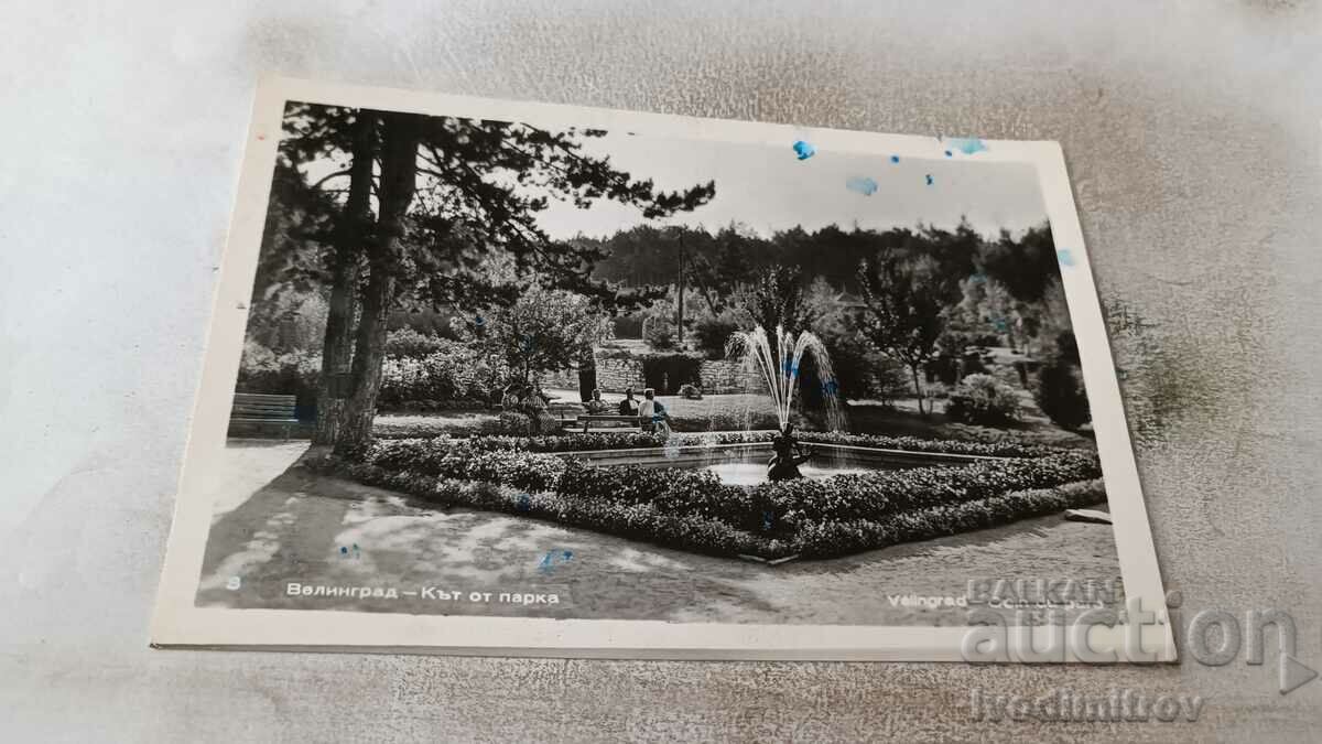 Пощенска картичка Велинград Кът от парка 1963