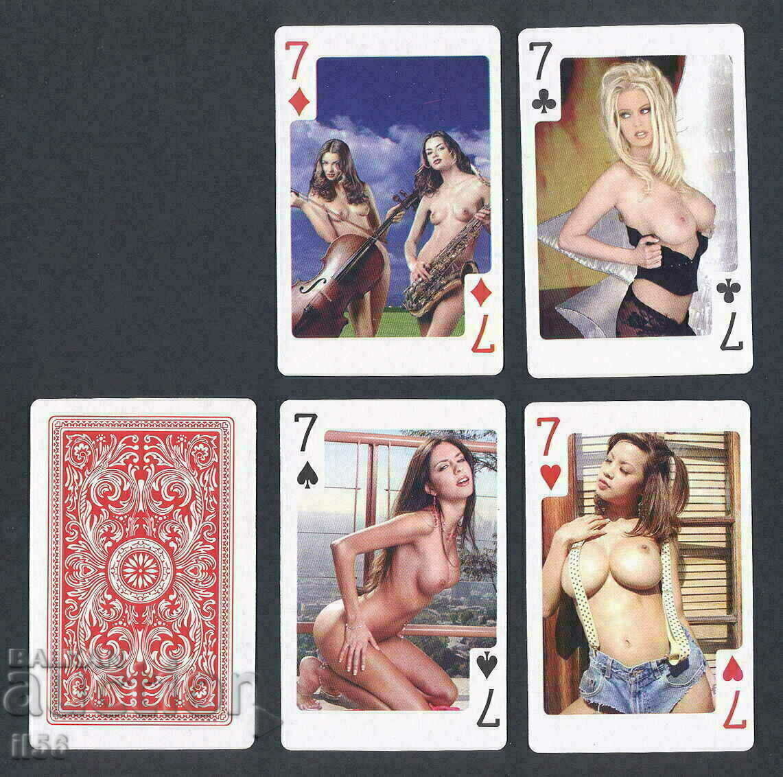 Playing cards - erotica - poker - checkered weeks