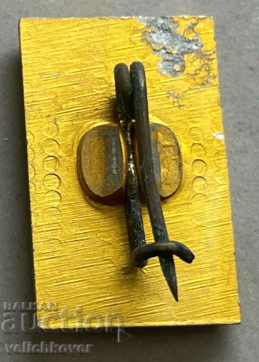 34542 България знак с образа на Сава Филаретов с цена 3.00 лв. | € 1.53 34542 България знак с образа на Сава Филаретов с цена 3.00 лв. | € 1.53