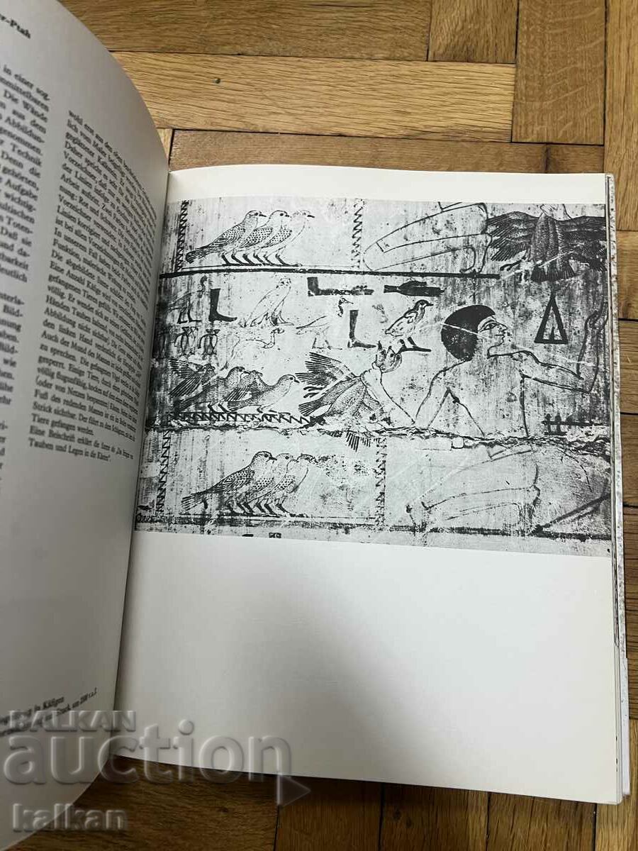 Αιγυπτιακό άλμπουμ τέχνης - 7 Αιγυπτιακό άλμπουμ τέχνης - 7