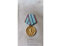 Medal for 20 years of impeccable service construction troops NRB