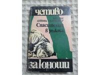 DD Salinger: The Savior in the Rye