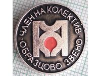 12689 Badge - Member of a model unit collective