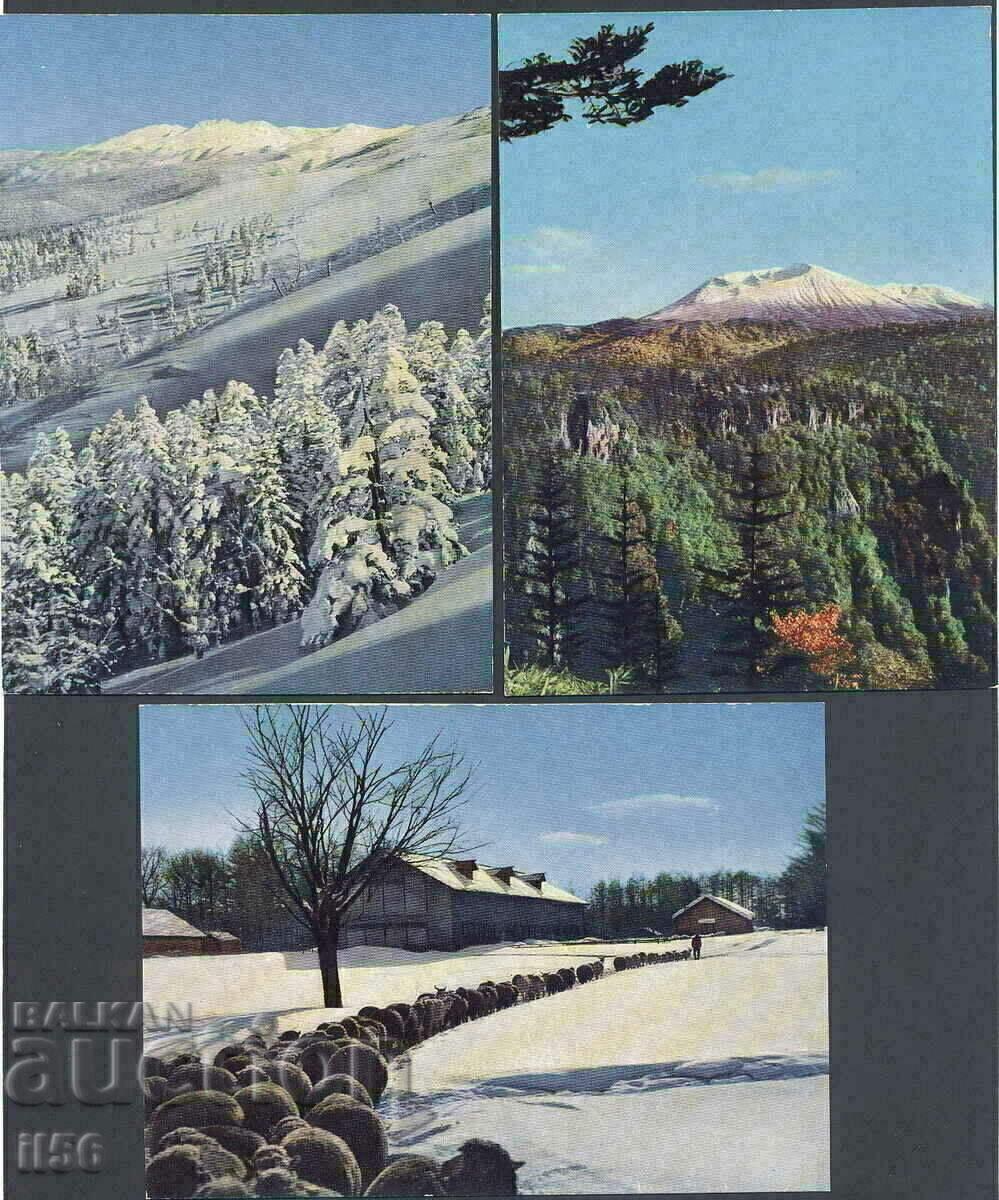 Delivery of PK - Japan 01 - lot 15 pcs. Delivery of PK - Japan 01 - lot 15 pcs.