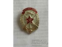 Insigna militară DOSAAF URSS.
