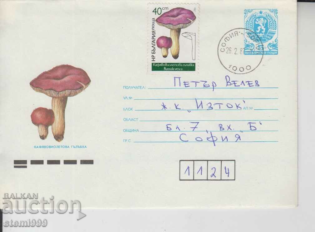 Първодневен Пощенски плик Гъби