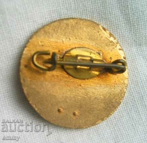 Delivery of Promotional badge - De Meerhond mobile grooming salon Delivery of Promotional badge - De Meerhond mobile grooming salon