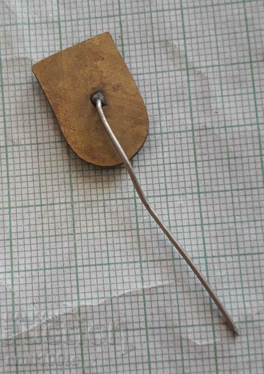 Badge - Swimming Federation of Turkey - 6 Badge - Swimming Federation of Turkey - 6