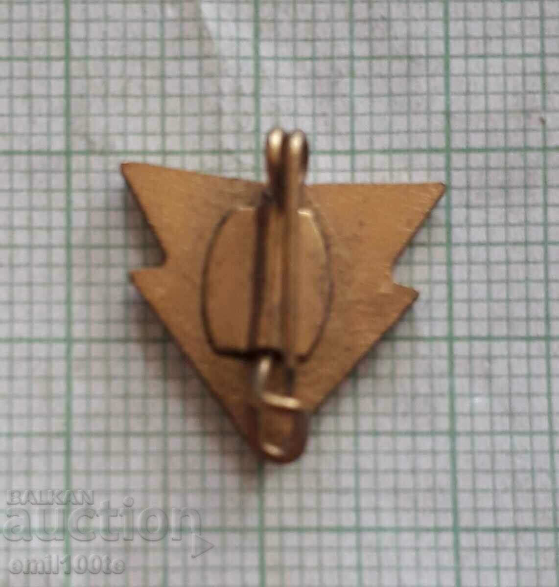 Delivery of Badge - DSSV GDR Swimming Federation Delivery of Badge - DSSV GDR Swimming Federation