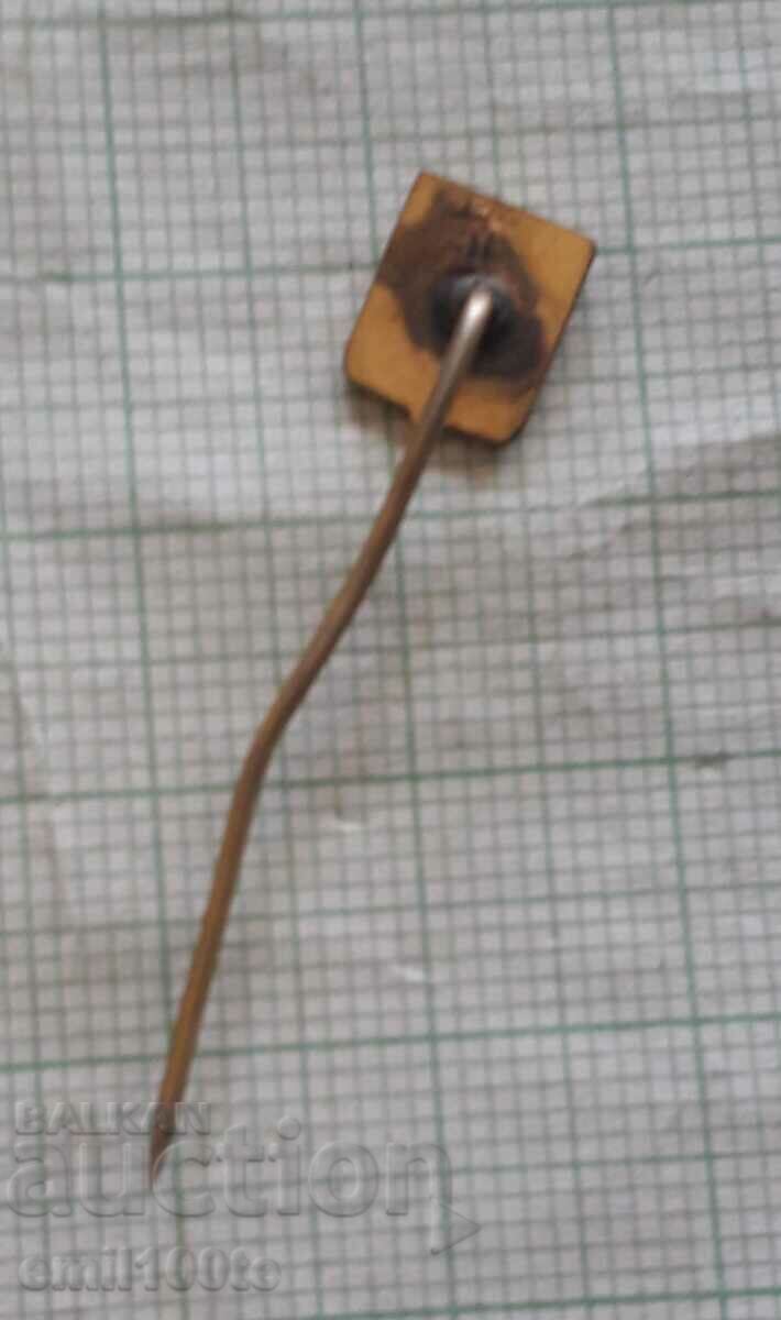 Delivery of Badge - AZS Student Sports and Football Club Poland