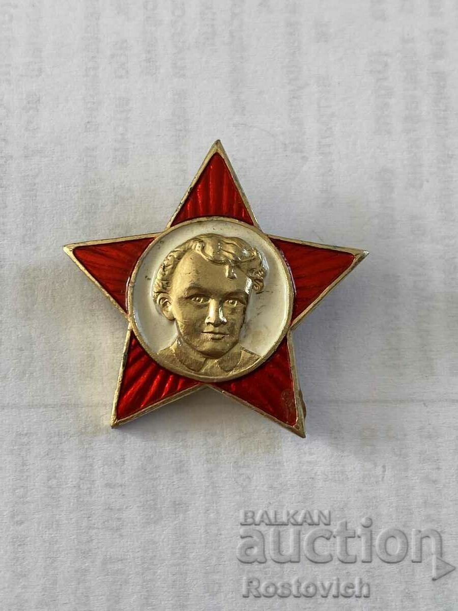 Badge USSR, Pioneer.
