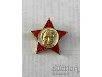 Insigna URSS, Pionier.