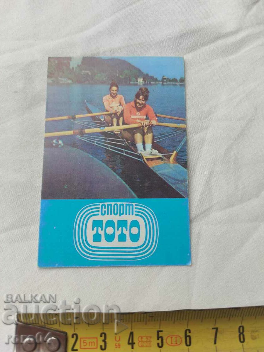 Auction  CALENDAR - 1977