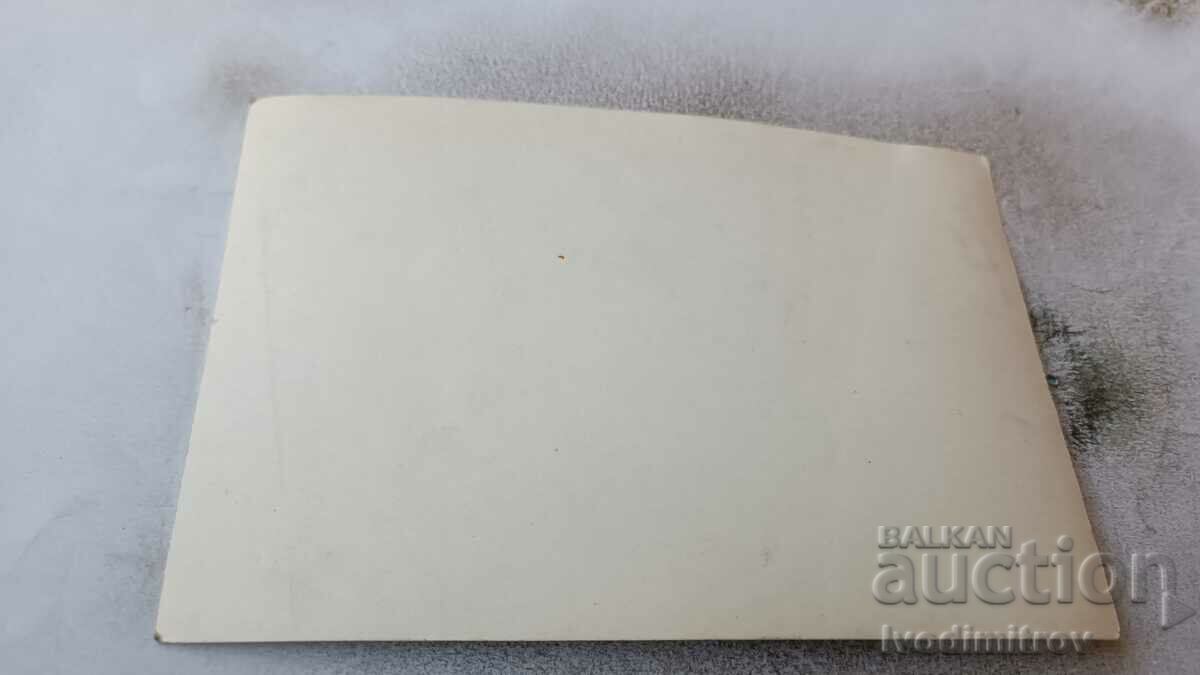 Picture Men in front of a lake in a park with price 2.35 BGN | € 1.20 Picture Men in front of a lake in a park with price 2.35 BGN | € 1.20