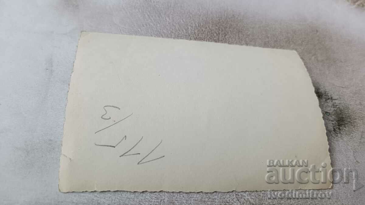 Photo Young men and young women in swimsuits sitting on the lawn with price 2.45 BGN | € 1.25 Photo Young men and young women in swimsuits sitting on the lawn with price 2.45 BGN | € 1.25