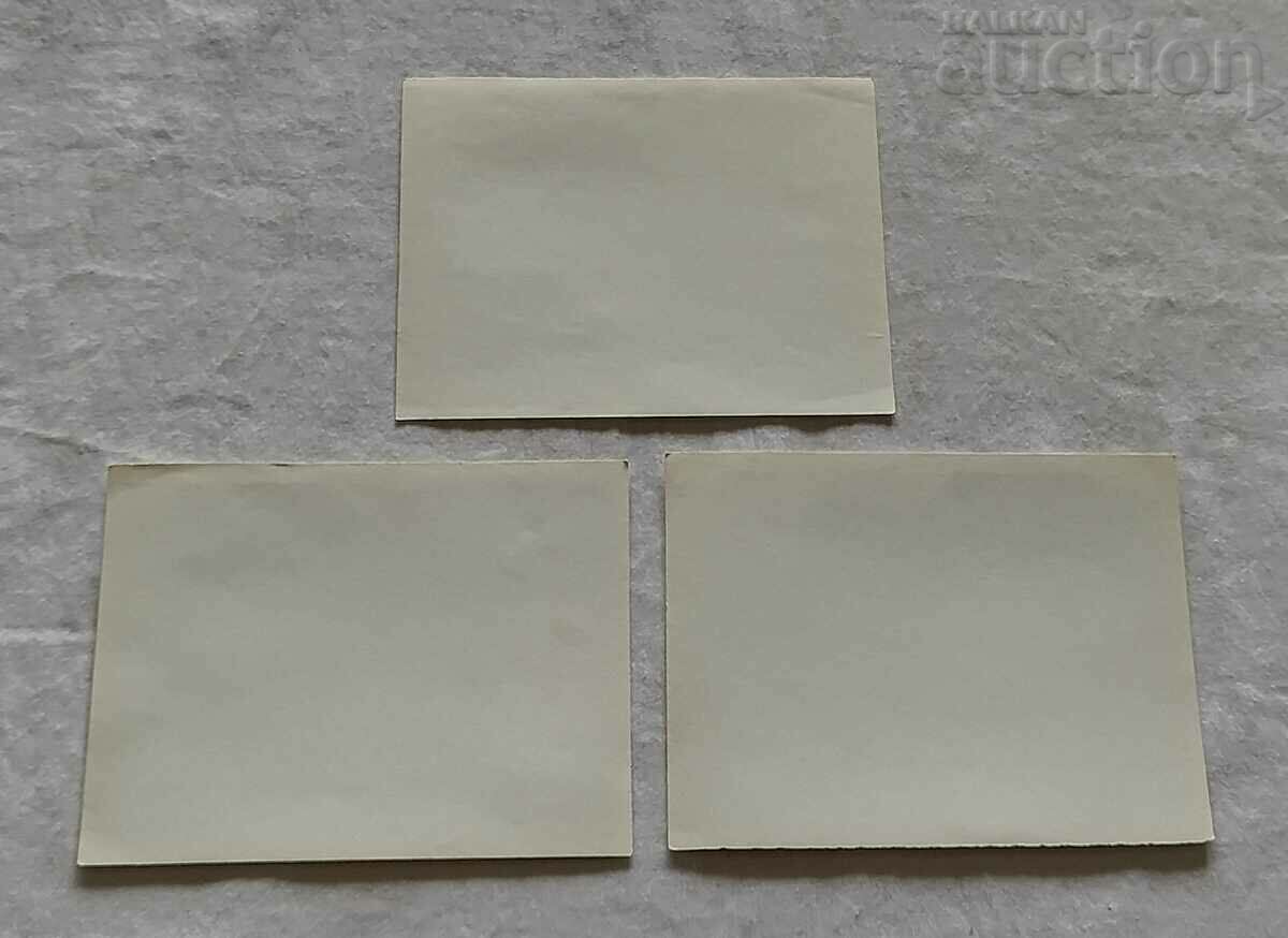 TRIFON CUT VINEYARDS SLOGANS NR BULGARIA PHOTOS LOT 3 PCS - 5 TRIFON CUT VINEYARDS SLOGANS NR BULGARIA PHOTOS LOT 3 PCS - 5