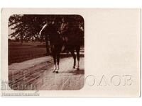 191? OLD PHOTO GERMANY GERMAN MILITARY OFFICER ON HORSE G215
