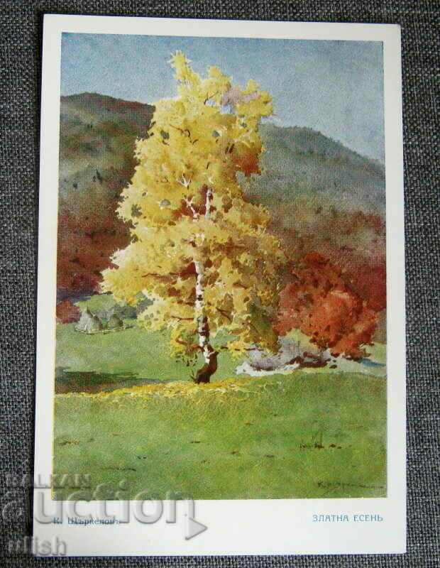 Konstantin Shtarkelov postcard golden autumn PK