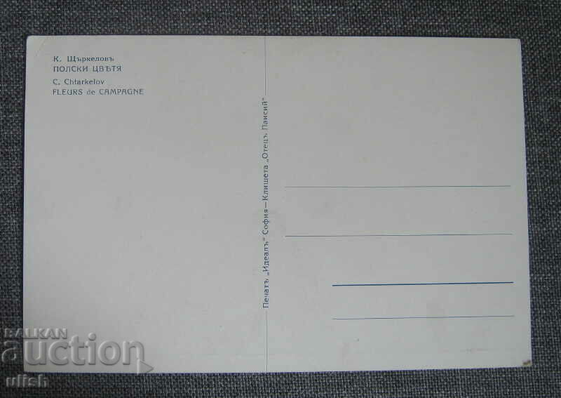 Konstantin Shtarkelov postcard Polish flowers PK with price 10.00 BGN | € 5.11