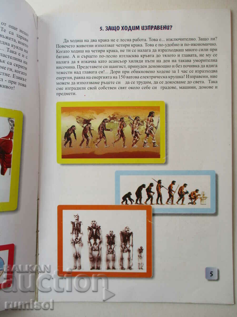 Auction Encyclopedia for children and adolescents - The human body Auction Encyclopedia for children and adolescents - The human body