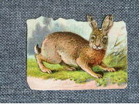 Antique lithographic relief sticker decal rabbit