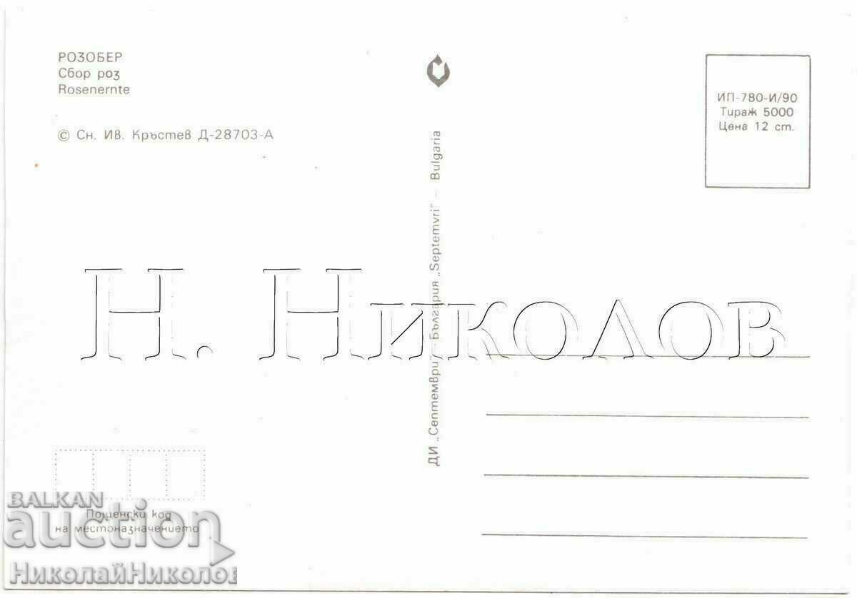 OLD CARD KAZANLUK ROSEBER G234 with price 3.00 BGN | € 1.53