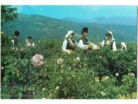 ΠΑΛΙΑ ΚΑΡΤΑ KAZANLUK ROSEBER G234