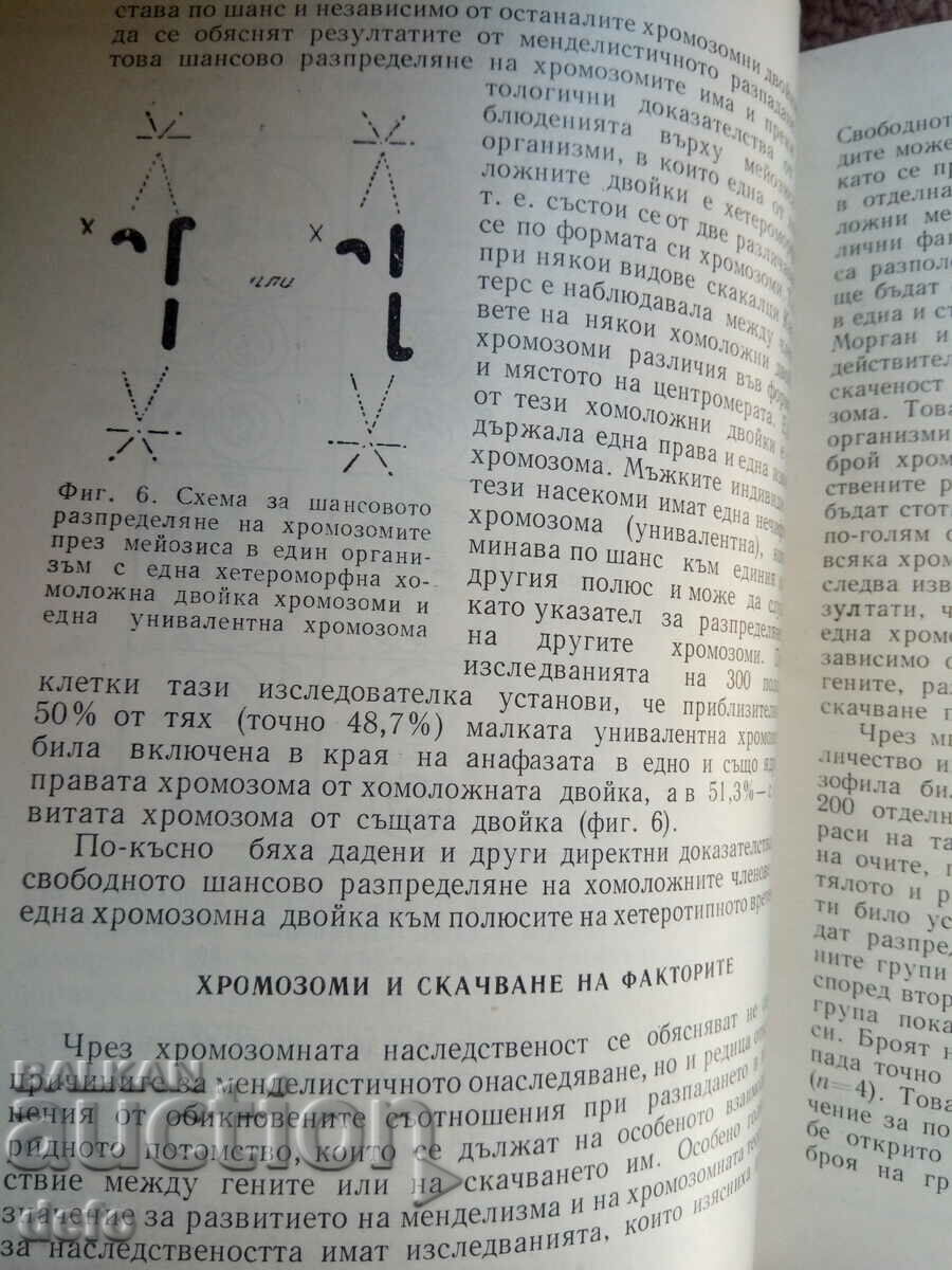 Delivery of Modern problems of genetics - G. Genchev