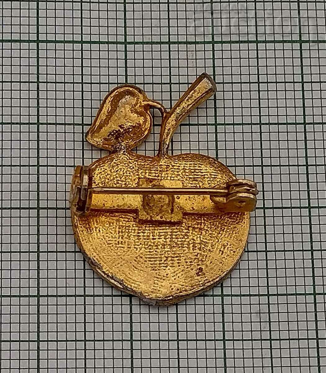 GREEN APPLE BROOCH with price 7.00 BGN | € 3.58